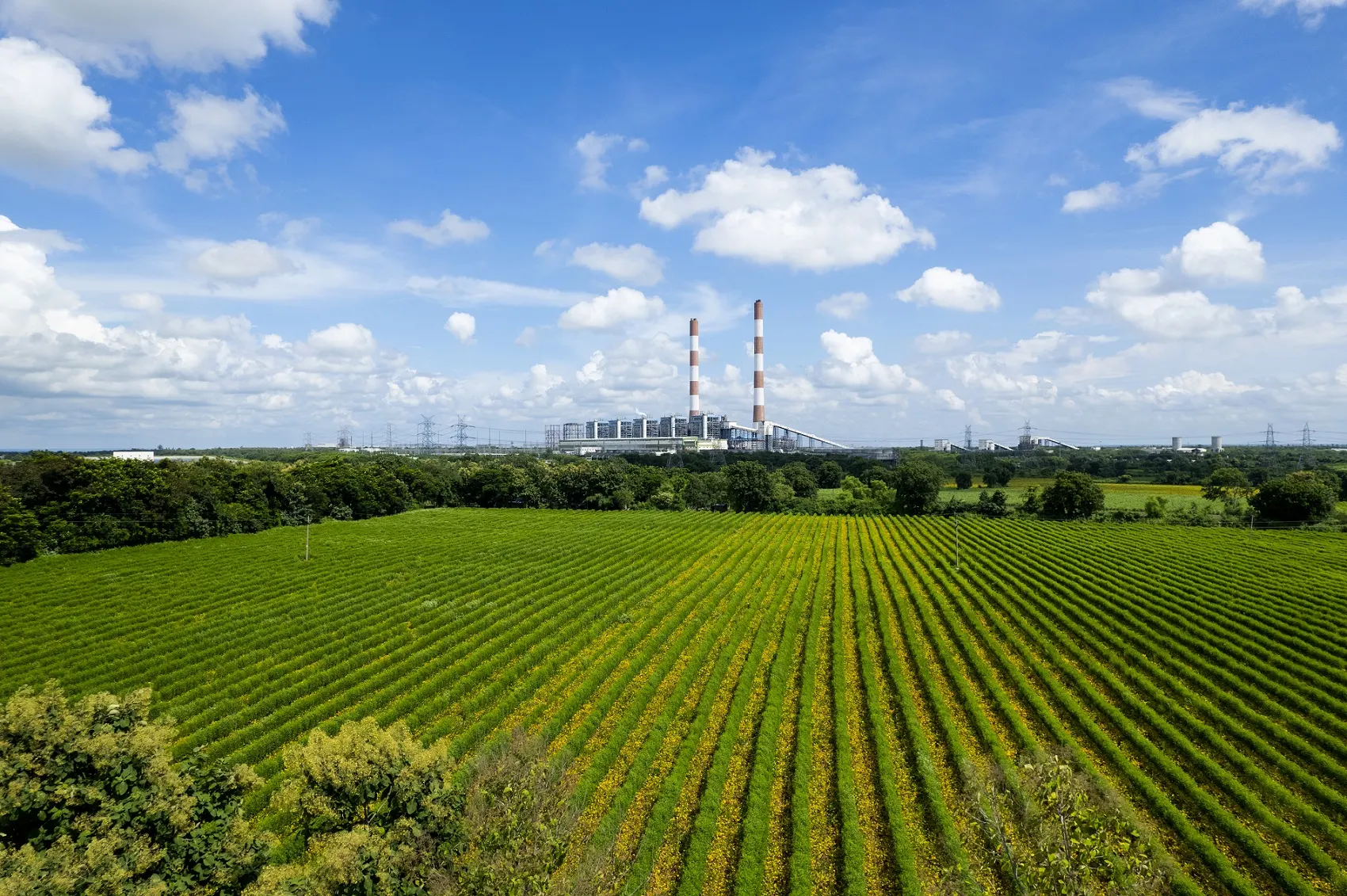 Agro-Chemical Industries