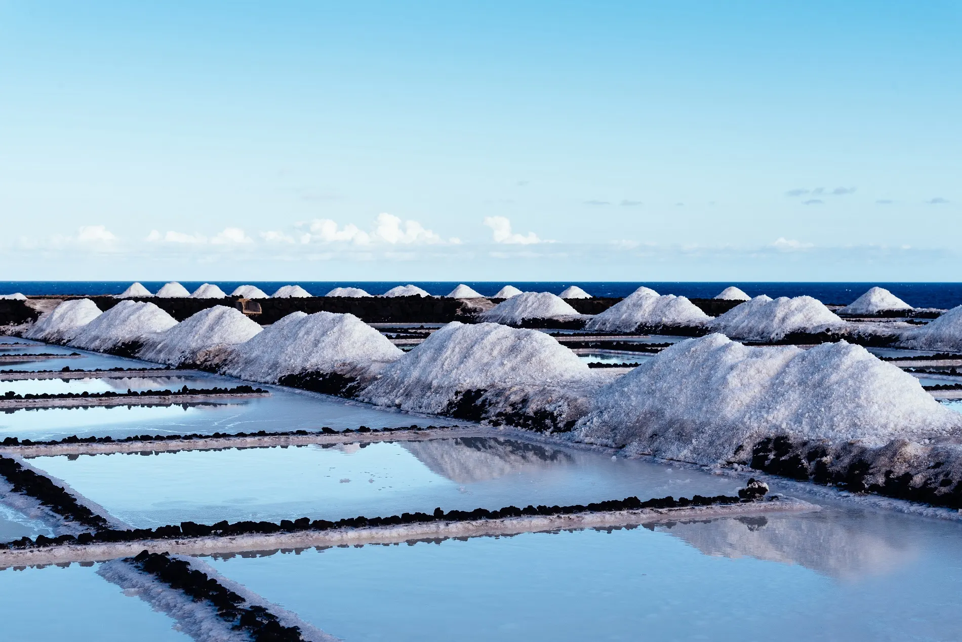 Sugar & Salt Industry